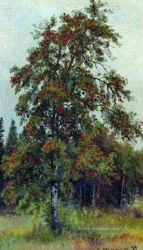 rowan 1892 klassische Landschaft Ivan Ivanovich Bäume Ölgemälde